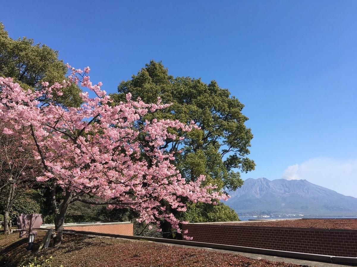 SHIROYAMA HOTEL kagoshima Eksteriør billede